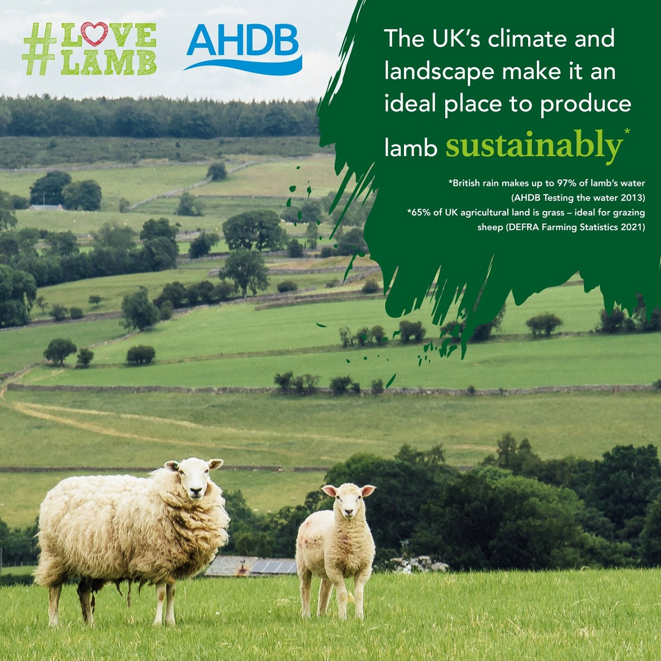 The UK's climate and landscape make it an ideal place to produce lamb sustainably
